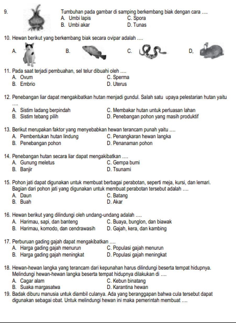 Soal Ipa Kelas 6 Semester 1 2021 Dalchaebi Soal Ipa Kelas 6 Semester 1 2021 Dalchaebi