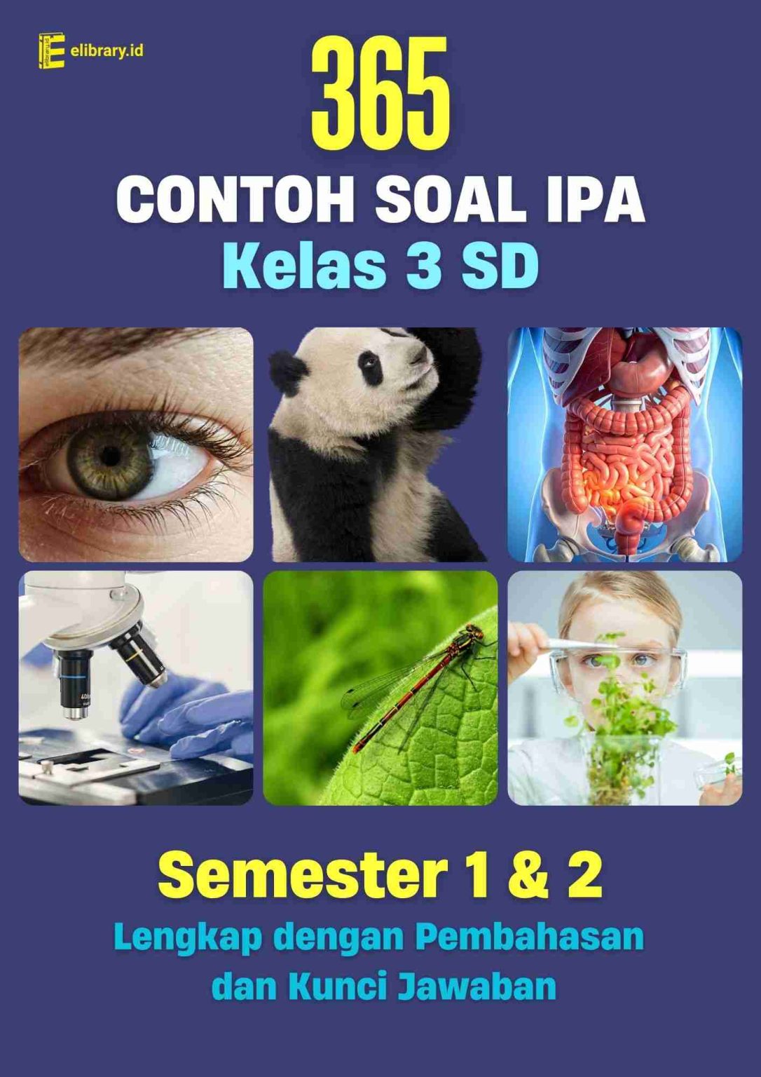 Akhirnya Terungkap! Kunci Jawaban Contoh Soal IPA Kelas 3 dan 4 SD Bersetra Jawabannya