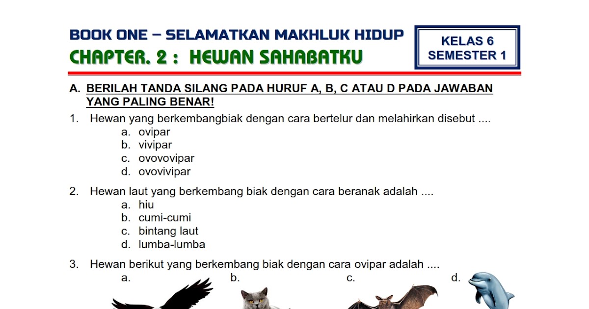 Soal Penilaian Harian Kelas 6 Tema 1 Subtema 2 - Bank Soal